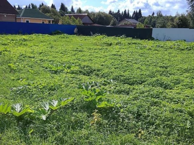 Дом продажа в Ленинградская область