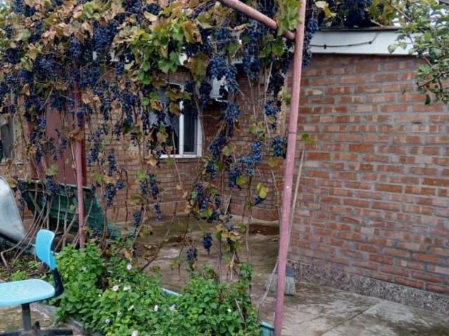 Дом продажа в Зерноградский Р-н, Ростовская область