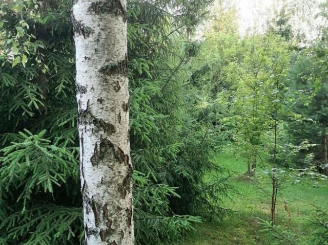 Дом продажа в Звенигород, Кабардино-Балкарская Республика