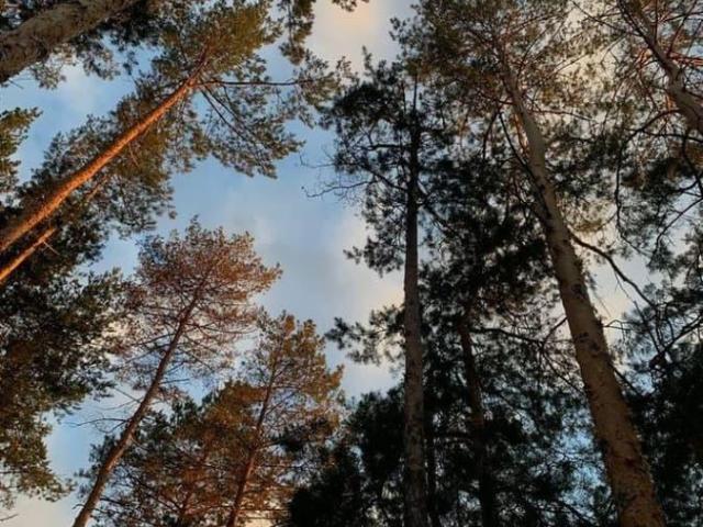 Дом продажа в Звенигород, Кабардино-Балкарская Республика