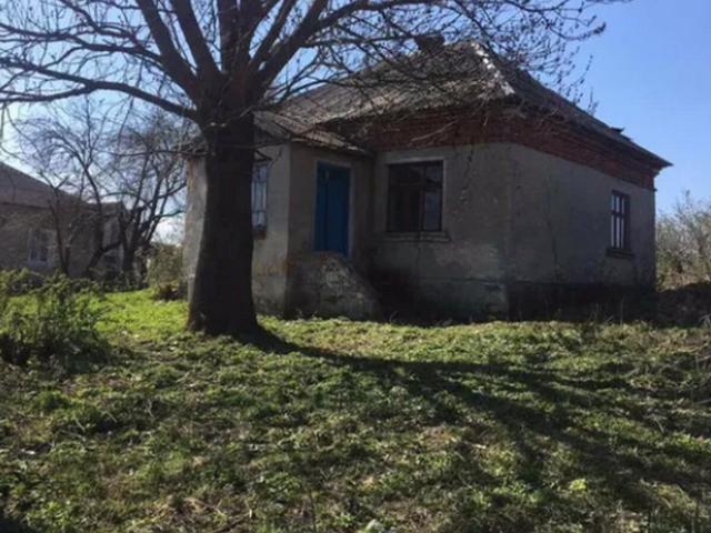 Участок аренда в Великой Березовице
