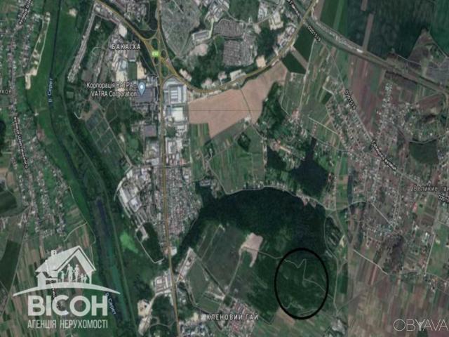 Участок аренда в Великой Березовице