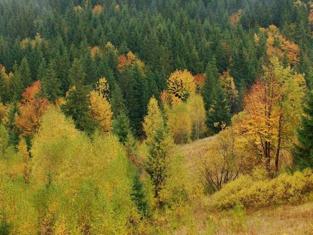 Участок продажа в Хутір, Хрещатик