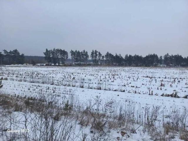 Участок продажа в Черновицкой области