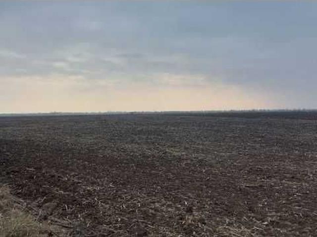 Участок продажа в Черновицкой области