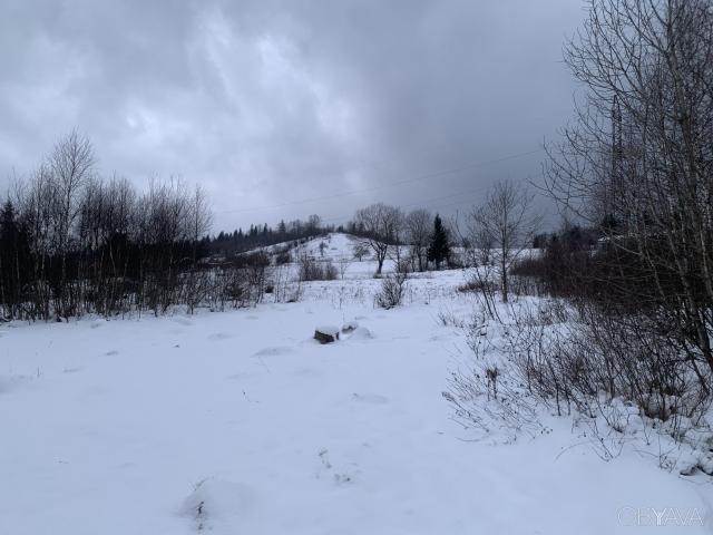 Участок аренда в Львовская