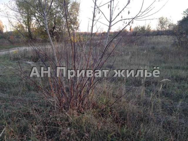 Участок продажа в Полтавской области