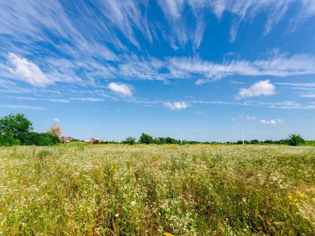 Участок продажа в Полтавской области