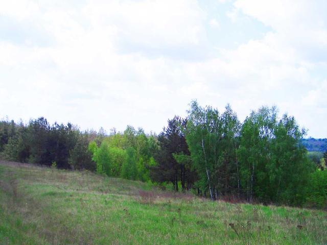 Участок продажа в Глевахе, Винницкой области