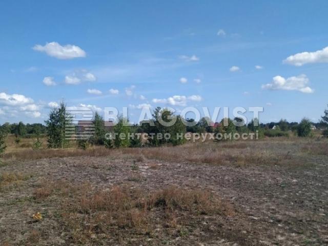 Недвижимость продажа в Дружне, Винницкой области