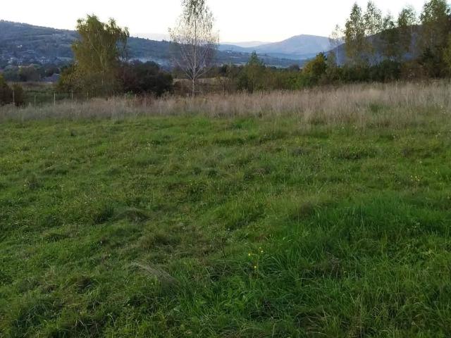 Участок аренда в Закарпатской области