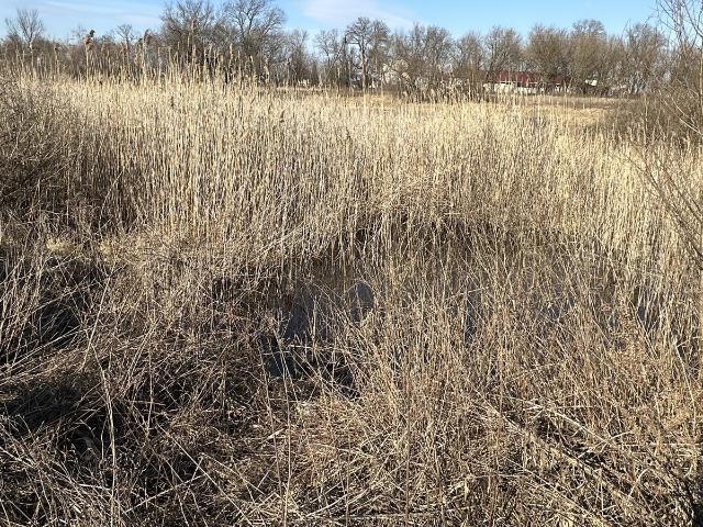 Участок аренда в Кременчуге, Полтавской области