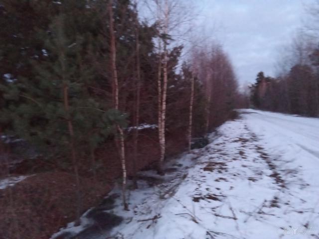Участок аренда в Великом Омелянике