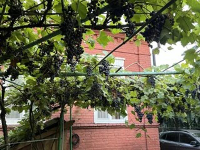 Дом продажа в Кавказский Р-н, Краснодарский Край