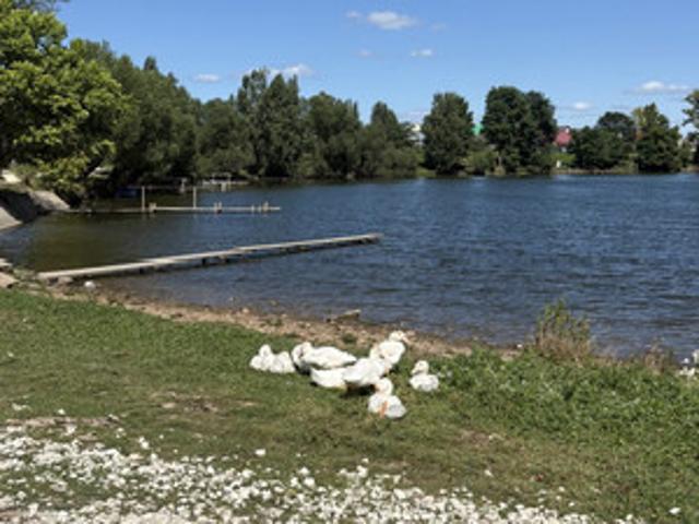 Участок продажа в Марий Эл Республика