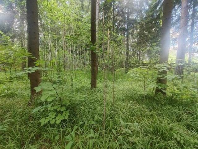 Участок продажа в Сивково Д, Кабардино-Балкарская Республика