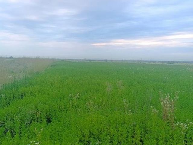 Участок продажа в Чегемский Р-н