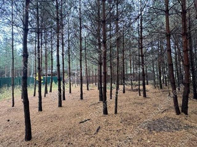 Участок продажа в Бушарино, Одинцовский городской округ