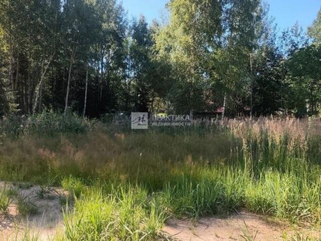 Участок продажа в Молзино, Богородский городской округ