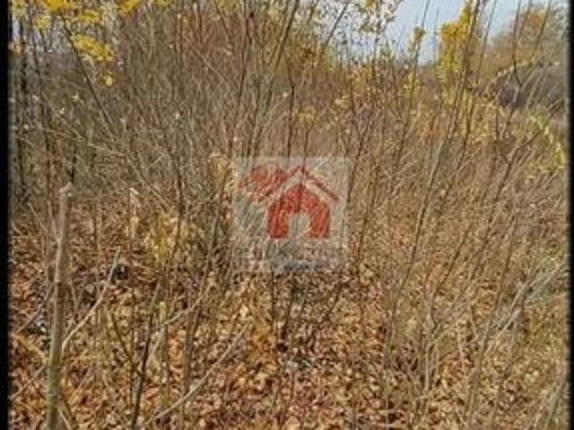 Участок продажа в Самарская область