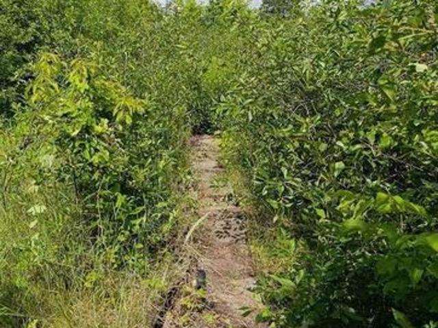 Участок продажа в Самара, Самарская область