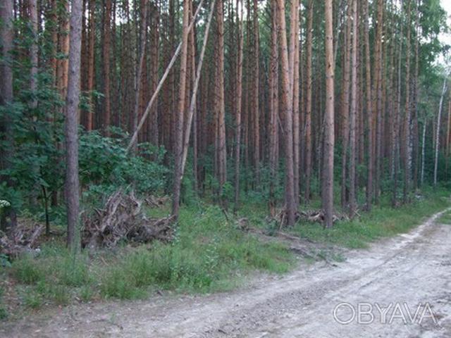 Участок аренда в Винницкой области