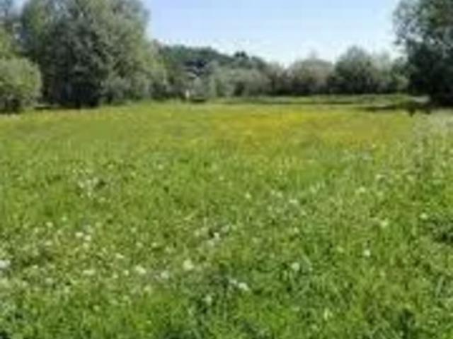 Участок аренда в Боярке, Винницкой области