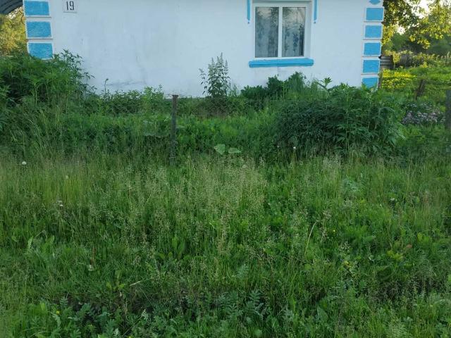 Дом продажа в Великой Березовице
