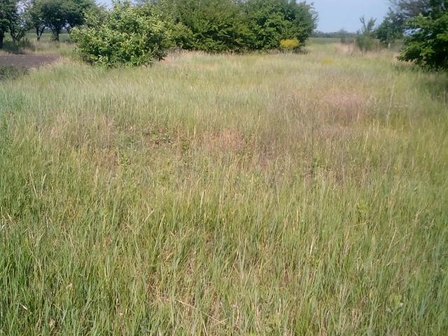 Участок аренда в Кропивницком