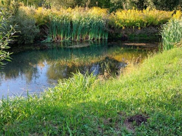 Участок аренда в Дмитровке, Винницкой области