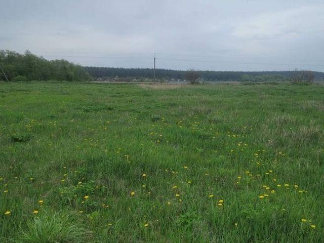 Участок аренда в Дудниково, Полтавской области