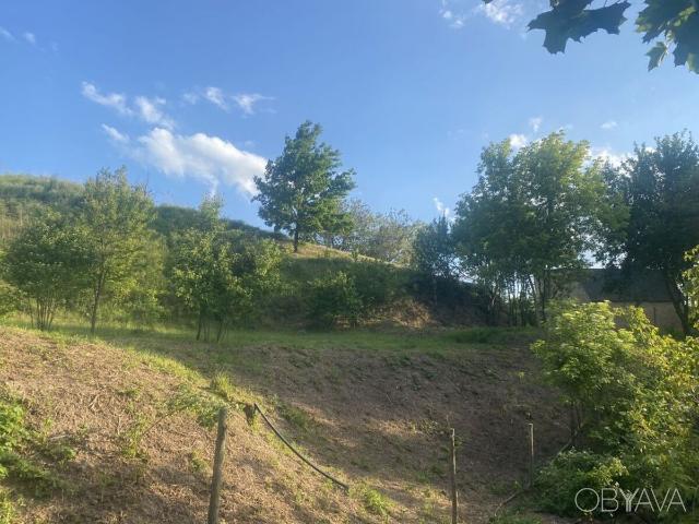 Участок аренда в Дмитровке, Винницкой области