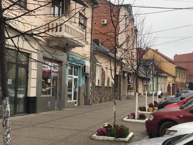 Дом продажа в Ужгороде