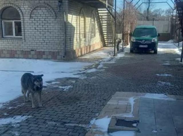 Дом продажа в Великодолинском, Днепропетровской области