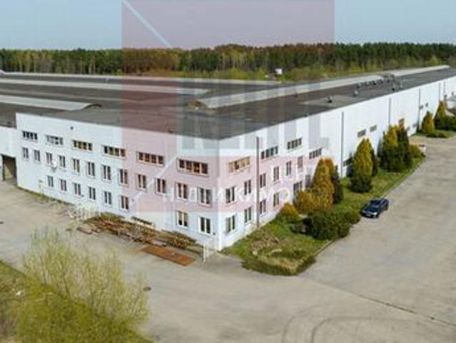 Недвижимость продажа в Светлый, Калининградская область