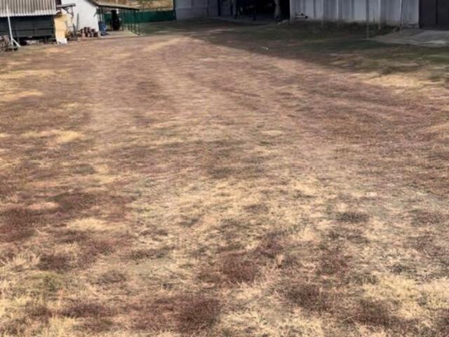 Недвижимость продажа в Баковцах, Днепропетровской области