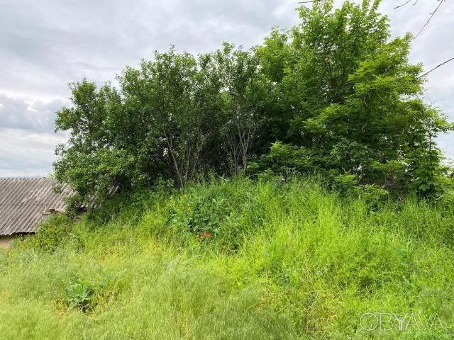 Участок аренда в Винницкой области