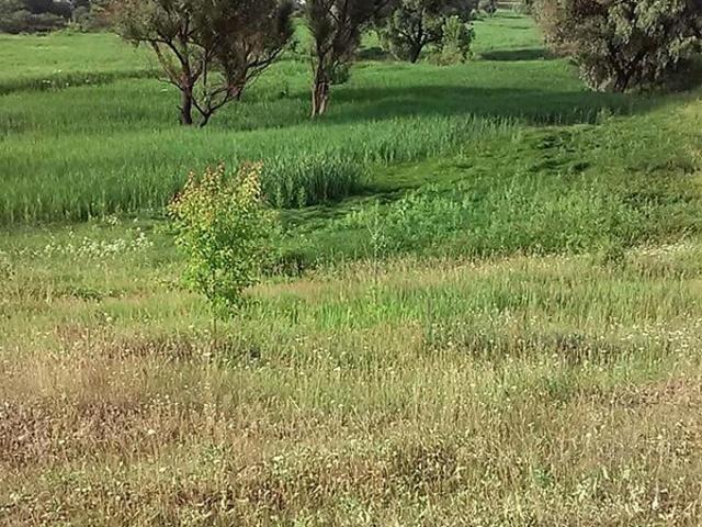 Участок аренда в Хорошево, Донецкой области