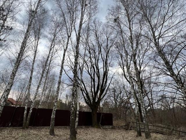 Участок аренда в Украинке, Винницкой области