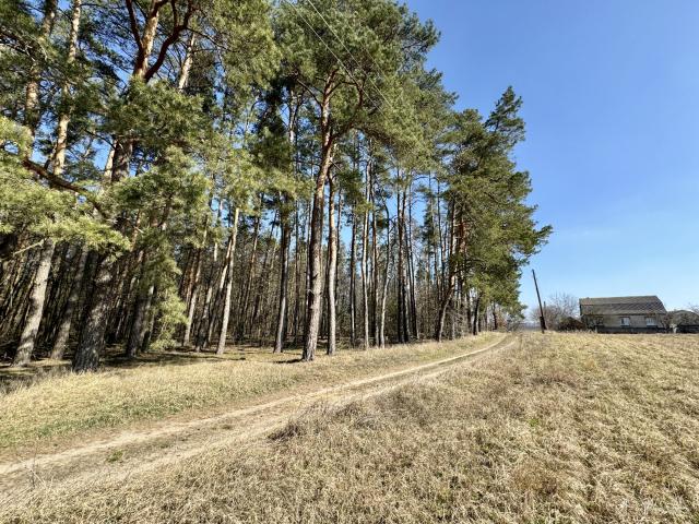 Участок аренда в Сосонке