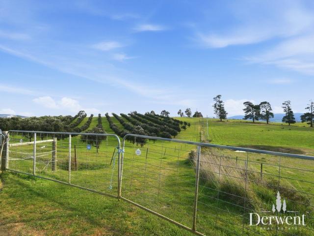 Land for sale in Elderslie, Gretna