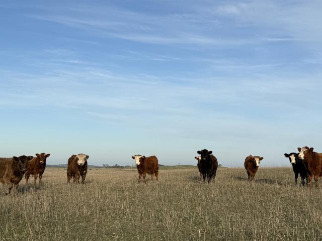 Property for sale in Canunda, South Australia