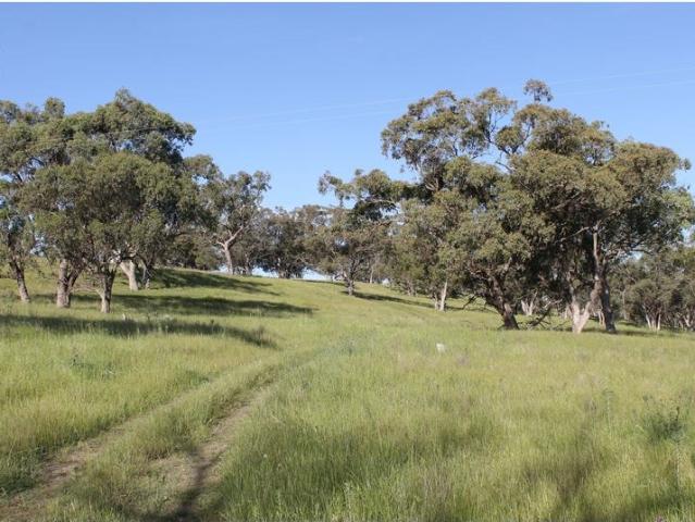 Cottage for sale in New South Wales