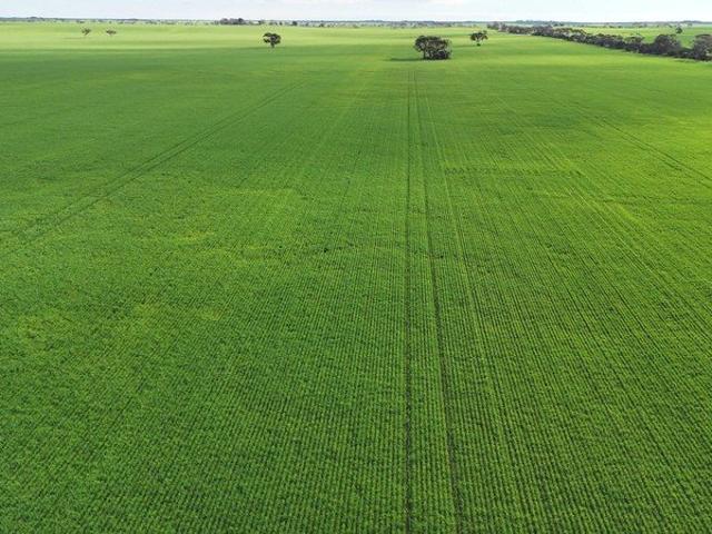 Cottage for sale in Alford, South Australia