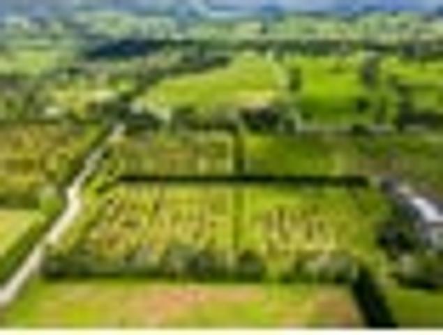 Land for sale in Northland