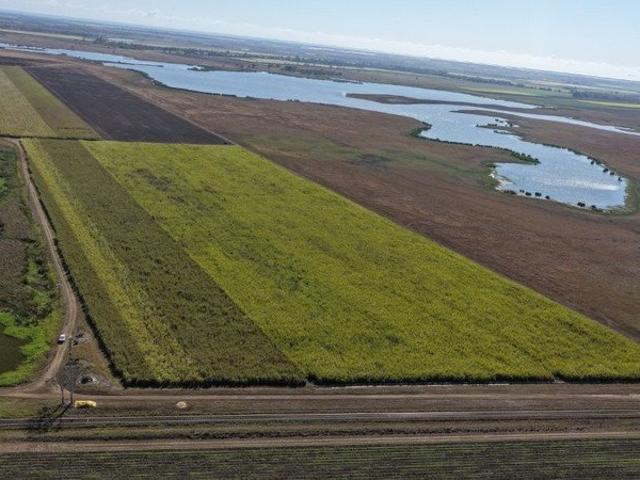 Acreage for sale in Brandon, Queensland