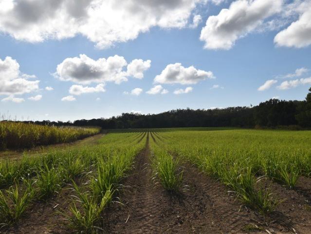 Cottage for sale in Pindi Pindi, Mackay Regional