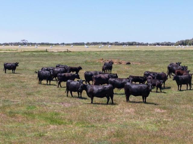 Cottage for sale in Scott River, Western Australia