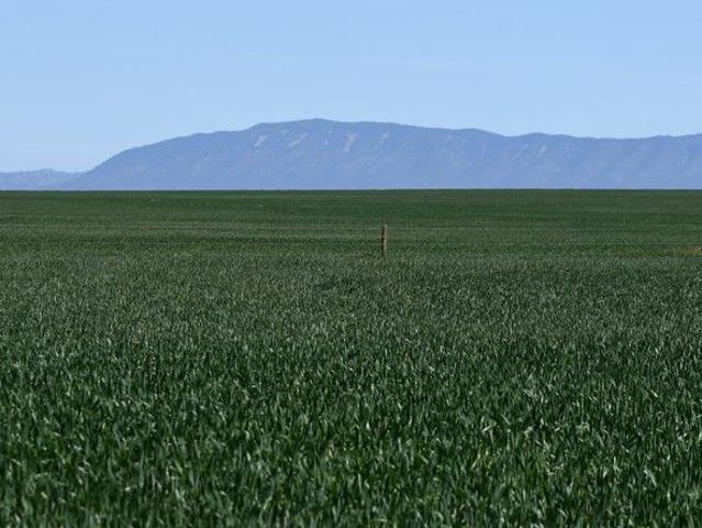 Property for sale in Wilmington, South Australia