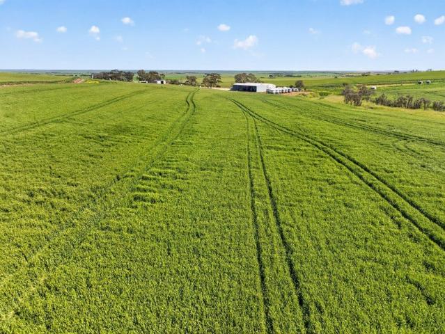 Property for sale in Wokurna, Wakefield Regional Council